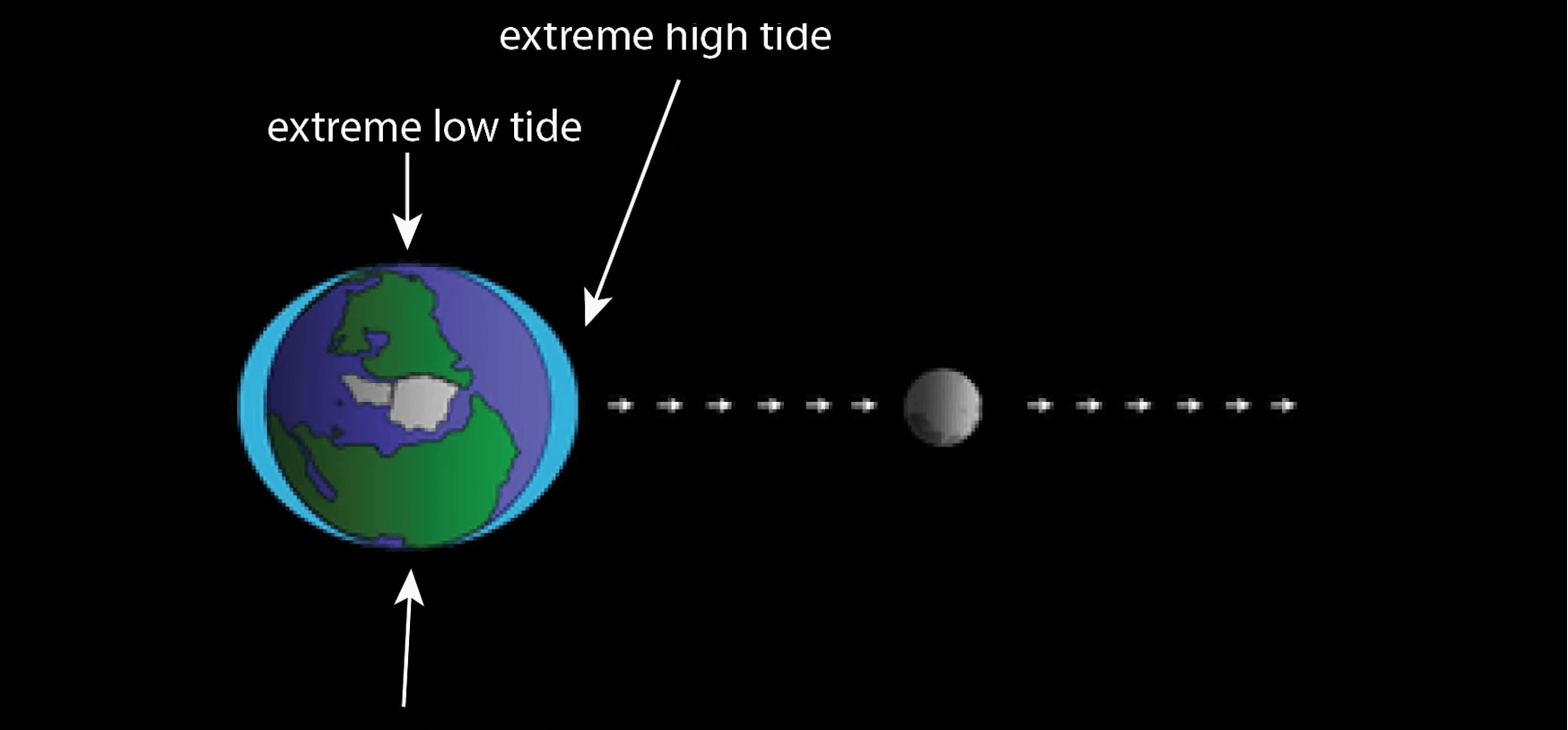 Tides as caused due to moon