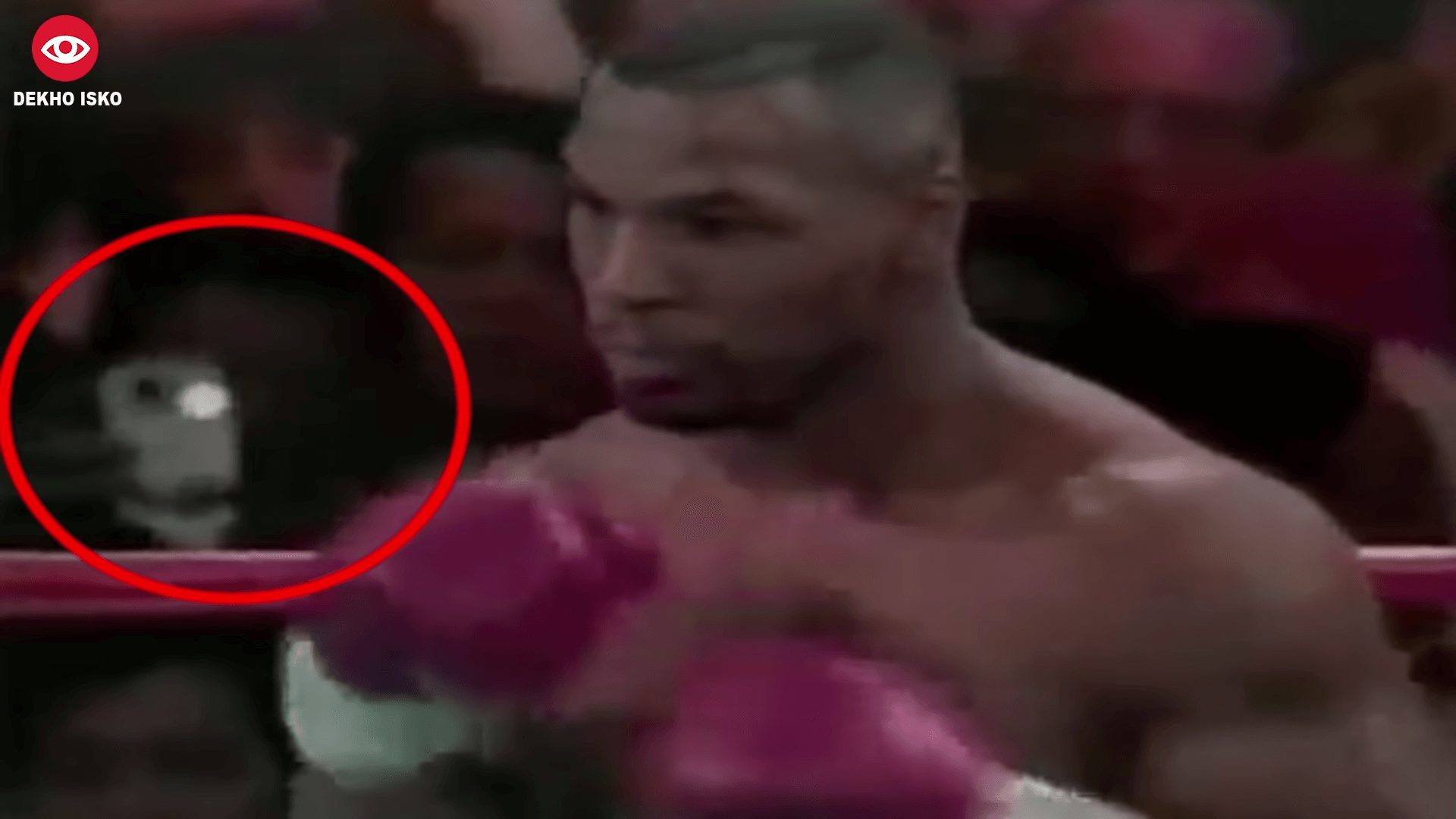 Mike Tyson 1995 boxing match